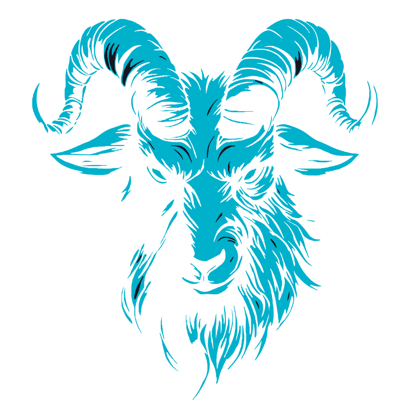 Warpcast Rewards splash screen image